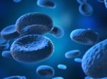 Cell Blue, Human Cell, Animal Cell Stock Photo