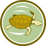 Sea Turtle Swimming Circle Cartoon Stock Photo