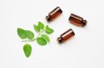 Mint Essential Oil In A Glass Bottle With Leaves On White Backgr Stock Photo