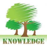 Knowledge Trees Indicates Reforestation And Know How Stock Photo