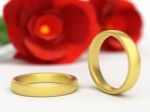 Wedding Rings Shows Find Love And Adoration Stock Photo