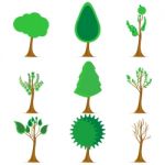 Stages Of Trees Stock Photo