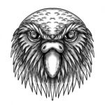 Kakapo Owl Parrot Head Tattoo Stock Photo