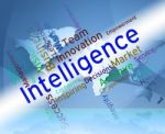 Intelligence Words Represents Intellectual Capacity And Ability Stock Photo