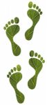 Green Leaf Human Footprints Stock Photo