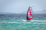 Porto Pollo, Sardinia/italy - May 21 : Windsurfing At Porto Poll Stock Photo
