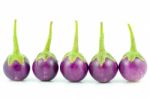 Eggplant Stock Photo