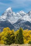 Autumnal Colours In The Grand Teton National Park Stock Photo