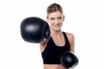 Fitness Woman Wearing Boxing Gloves Stock Photo