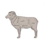Vintage Lamb Meat Cut Map Drawing Stock Photo