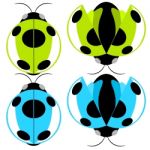 Beetle Illustration Stock Photo