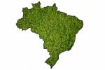 Brazil Map Background With Grass Stock Photo