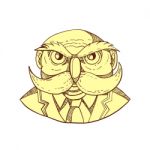 Angry Owl Man Mustache Doodle Color Stock Photo