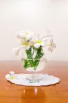 Still Life With White Spring Summer Flowers Stock Photo