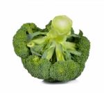 Broccoli Isolated On The White Background Stock Photo