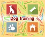 Dog Training Shows Pet Puppy And Pedigree Stock Photo