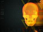 3d Render Of The Human X Ray Skull Stock Photo