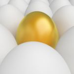 Golden Egg Means Odd One Out And Alone Stock Photo