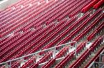 Stadium Seats Stock Photo