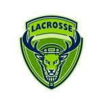 Deer Buck Stag Lacrosse Crest Stock Photo