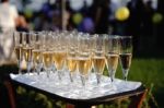 Glasses Of Champagne Stock Photo