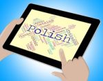 Polish Language Shows Vocabulary Word And Lingo Stock Photo