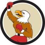 Bald Eagle Boxer Pumping Fist Circle Cartoon Stock Photo