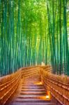 Bamboo Forest In Kyoto, Japan Stock Photo