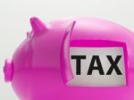 Tax In Piggy Shows Taxation Savings Taxpayer Stock Photo
