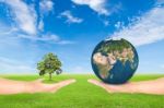 Hand Holding Tree And Earth Stock Photo