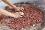 Red Beans Stock Photo