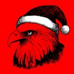 Eagle Bird With Christmas Hat, Doodle Hand Stock Photo