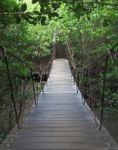 Suspension Bridge To Mangrove Tropical Forest Stock Photo