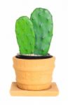Cactus ( Opuntia ) On Isolated Background ( Cereus Hexagonus Mil Stock Photo