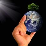 Earth With Tree In Hand Stock Photo