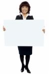 Business Lady Holding Blank Board Stock Photo