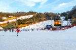 Vivaldi Park Ski Resort  In Korea Stock Photo