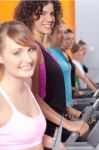 Group Of Girls In Gym Stock Photo