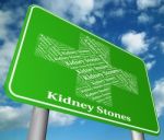 Kidney Stones Indicates Ill Health And Afflictions Stock Photo