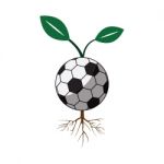 Soccer Football Sapling Icon  Illustration Stock Photo