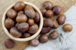 Chestnut On Wooden Floor Stock Photo