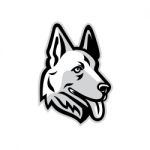 Alsatian Dog Mascot Stock Photo
