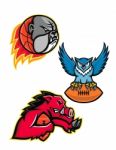 American Football And Basketball Wildlife Sports Mascot Collection Stock Photo