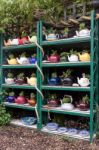 A Collection Of Teapots With Plants In Them At Thorpeness Stock Photo