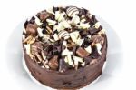 Homemade Chocolate Cake On Plate Stock Photo