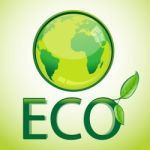 Eco Globe Stock Photo