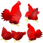 Red Hens And Roosters Stock Photo