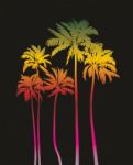 Magical Palms Trees At Night Stock Photo