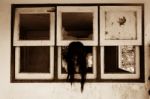 Dark Window,ghost In Haunted House Stock Photo