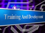 Training And Development Represents Learning Buildout And Webinar Stock Photo